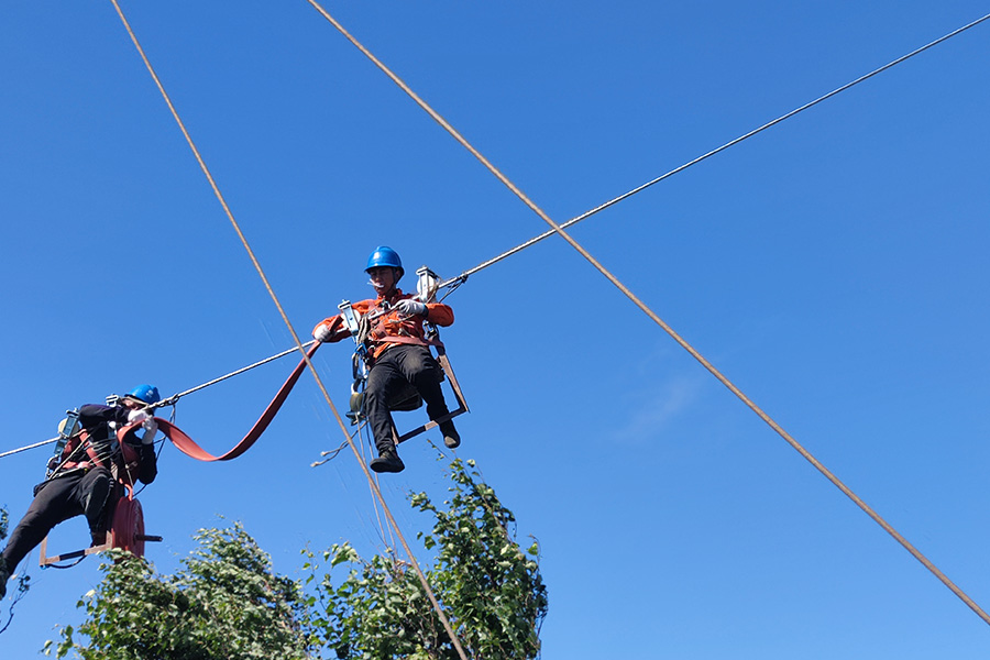 Für die Stromindustrie